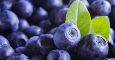 arandanos azules