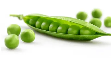 guisante arvejas